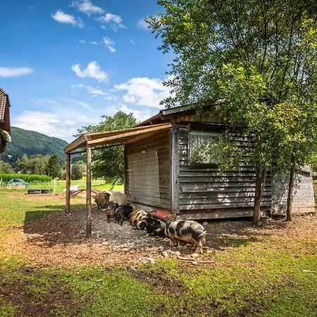 Appartement Meissnitzerhof *